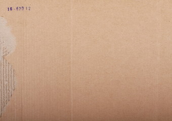 Torn cardboard background and texture