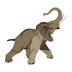 Vector flat illustration of asian elephant