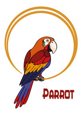 Exotic Bird, Cartoon Colorful Parrot Macaw Sits on the Ring. Vector