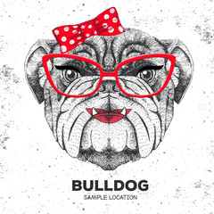 Retro Hipster animal bulldog. Hand drawing Muzzle of animal  bulldog. Girl of 60s