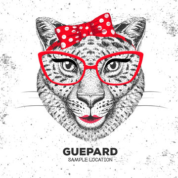 Retro Hipster animal guepard. Hand drawing Muzzle of animal  guepard. Girl of 60s