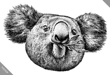 black and white engrave isolated Koala vector illustration © Turaev