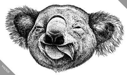 black and white engrave isolated Koala vector illustration © Turaev