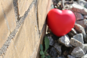 Red heart on disposal brash/ This is red heart on disposal brash.