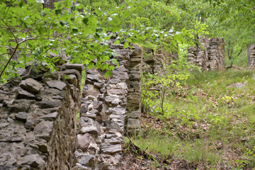 Remains of the zoological garden near Altenburg monastery, Austria