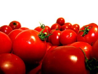 Isolated objects on white background. The tomatoes