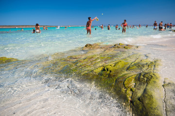 Beroemd strand van La Pelosa op het eiland Sardinië.