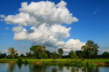 Obraz premium River Thames and meadow in Oxfordshire, England. Scenic summer countryside landscape.