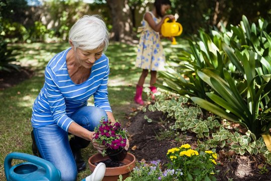 Smiling Senior Woman Planting Flowers While Granddaughter