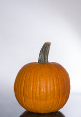 Kürbis zu Halloween im Herbst