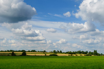 Summer landscape and farm field in Oxfordshire, England UK