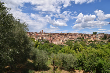 Fototapeta na wymiar Siena in der Toskana, Skyline mit Natur