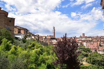 Fototapeta na wymiar Siena in der Toskana, Skyline mit Natur
