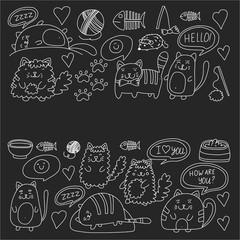 Cute doodle cats, kitty Domestic cats Vector sets with cute kittens for pet shop, cattery, veterinary clinic Doodle pattern for banner, poster, textile Children kids drawing for kindergarten