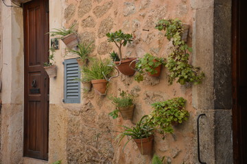 Flowerpots on the wall
