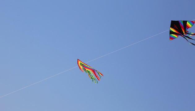 Two huge kites fly in the blue sky in the summer