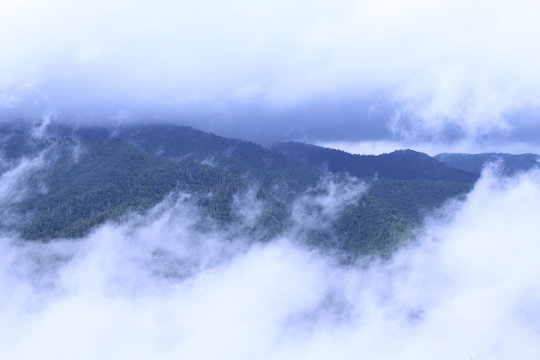 Forested Mountains Covered Under the Clouds and Heavy Fog
