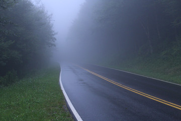 Misty Misterious Road in the Dark Woods of America