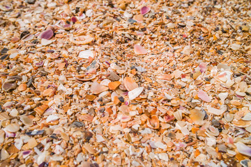 Beach sand close up
