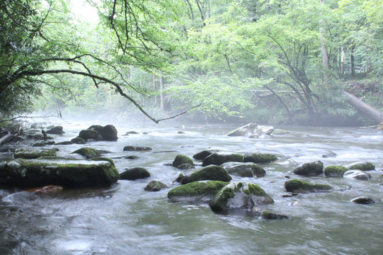 Natural River with Rocks and Trees