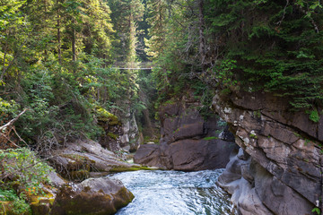 Cascata nel bosco