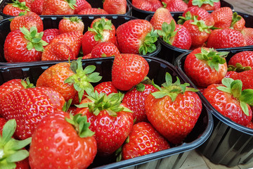 strawberry fruits in boxes
