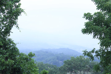 Skyline of the Smokey Mountains with Trees on Both Sides of the Frame