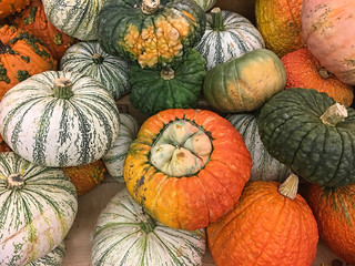 Collection of gourds, pumpkins