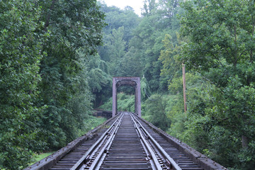 Fototapeta premium Train Tracks Made of Wood and Rusted Metal in the Forest