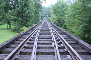 Train Tracks Bridge Crossing Rivier in the Deep Woods