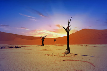 Dead Vlei at sunrise with a pink and orange sky in Nambia