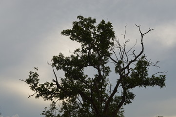 Just Another Evening