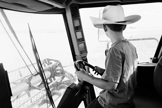boy drives wheat combine