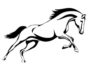 Running black line horse on white background. Vector graphic.