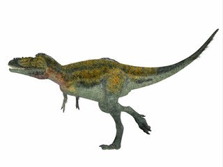 Fototapeta premium Alioramus Dinosaur Side Profile - Alioramus was a carnivorous theropod dinosaur that lived in Asia in the Cretaceous Period.