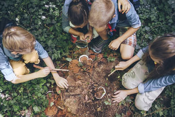 Children Scouts Observing Mushrooms