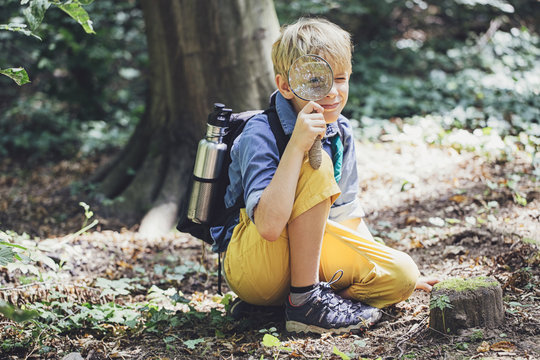 Portrait of A Boy With A Loup