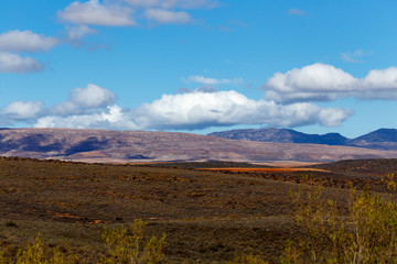 Green Bushy landscape with mountains