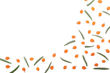 Sea buckthorn. Frame of ripe fresh berries isolated on white background with copy space for your text. Top view