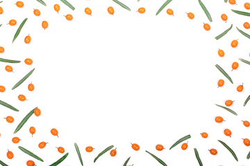Obraz premium Sea buckthorn. Frame of ripe fresh berries isolated on white background with copy space for your text. Top view