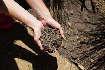Woman holding soil in garden