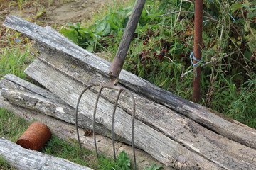 la fourche, le bois et la conserve