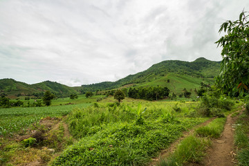 Philippinische Provinz 