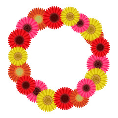 Fototapeta premium Frame wreath of gerbera flowers, vector