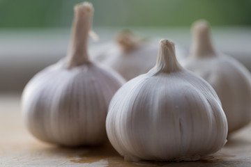 Closeup garlic on wood background