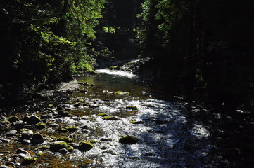 Tatry - strumień © Rafa
