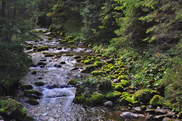 Potok w Tatrach