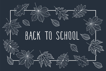 Back to School. Autumn leaves are drawn with chalk on the black chalkboard. Sketch, design elements.  Vector illustration.