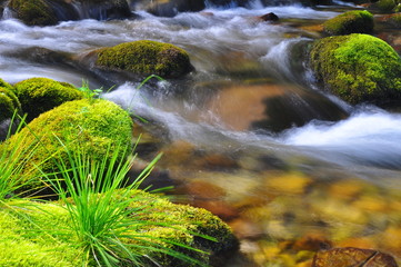 Rwący potok © Rafa