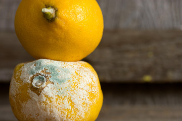 Fresh and rotten lemon. fruit with mold on wooden background 